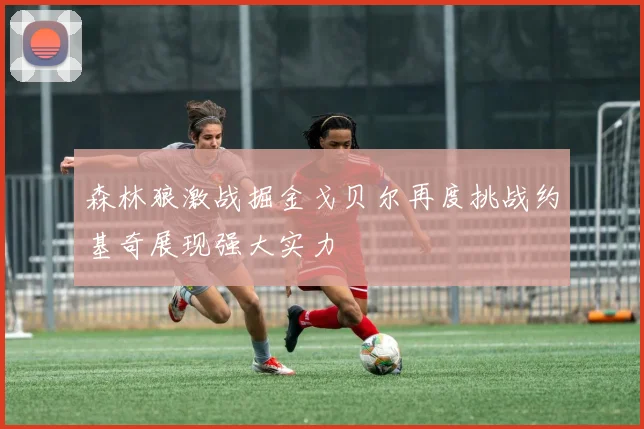 森林狼激战掘金戈贝尔再度挑战约基奇展现强大实力