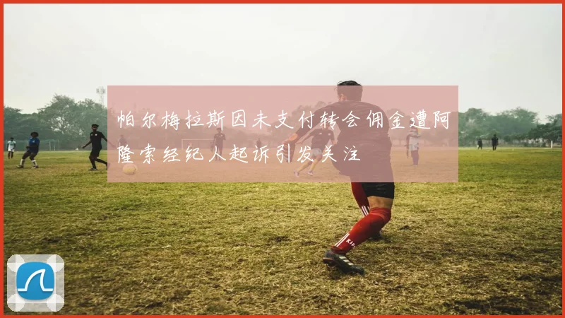 帕尔梅拉斯因未支付转会佣金遭阿隆索经纪人起诉引发关注