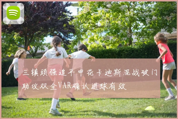 三镇顽强追平申花卡迪斯混战破门助攻双全VAR确认进球有效